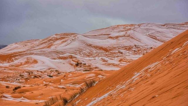 Ilustrasi Gurun Sahara. Foto: Unsplash