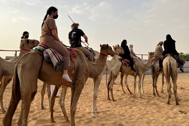 Sekolah menunggang unta di Arabian Desert Camel Riding center di Dubai, Uni Emirat Arab. Foto: Abir Al Ahmar/REUTERS