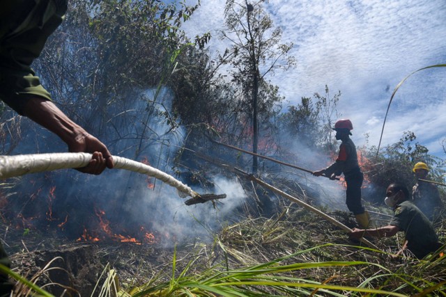 Petugas gabungan dari Direktorat Sabhara Polda Sumatera Utara, KPH XIII Dolok Sanggul, KPH XIV Dairi dan KPH IV Toba berusaha memadamkan kebakaran hutan dan lahan (karhutla) di Desa Simulop, Pangururan, Samosir, Sumatera Utara, Senin (8/8/2022).  Foto: Fransisco Carolio/ANTARA FOTO