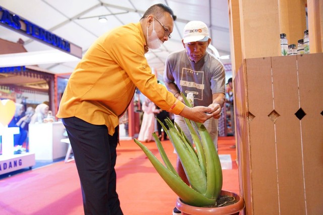 Lidah buaya dipamerkan di pameran Indonesia City Expo Apeksi XV di Padang. Foto: Dok. Prokopim Pemkot Pontianak