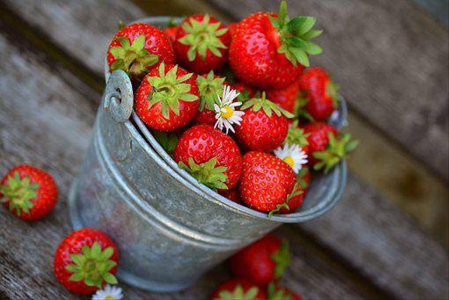 Ilustrasi manfaat strawberry untuk ibu hamil (Sumber: Pixabay)