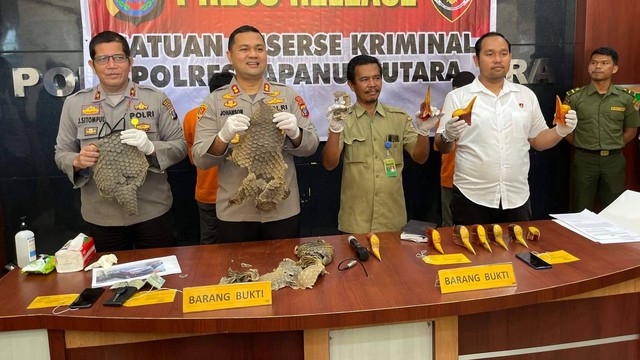 Polisi memaparkan perdagangan bagian tubuh hewan langka di Tapanuli Utara. Foto: Polres Taput