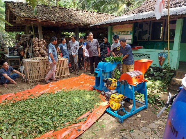 Tim PPDM UAD Latih Pembuatan Silase untuk Dukung Peternakan Berkelanjutan di Desa Somongari Purworejo (Foto: Istimewa)