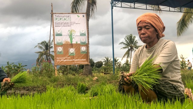 Pandawa Agri Indonesia Bangun Ekosistem Pertanian Berkelanjutan. Foto: PAI