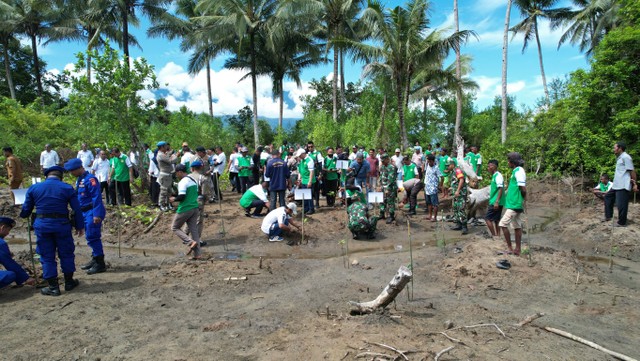 Kegiatan penanaman bibit mangrove di Desa Awanggo, Kecamatan Bacan, Kabupaten Halmahera Selatan yang diinisiasi Harita dan Unkahir, Rabu (10/8).Foto: Harita Nickel