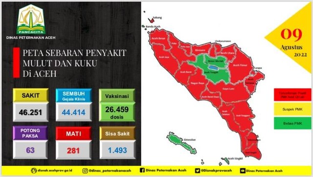 Data penyebaran PMK di Aceh.  Foto: Dok. Istimewa