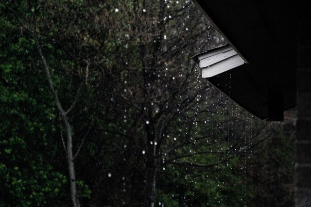 Ilustrasi hujan. Foto: Unsplash