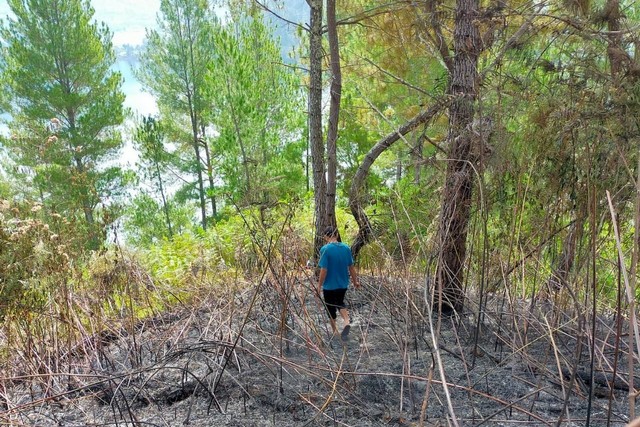 Kawasan hutan lindung di Kabupaten Aceh Tengah seluas 25 hektar hangus terbakar. Foto: Dok. Istimewa