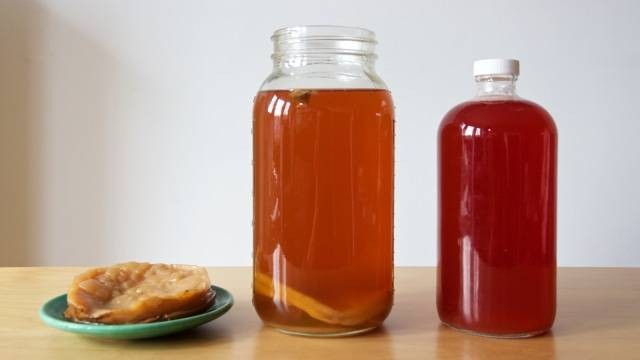 Teh Kombucha. (Foto: Thinkstock)