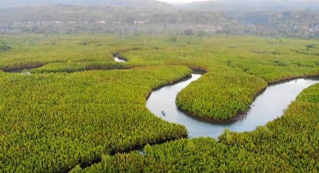 Pemandangan muara sungai Lakologou dari atas. Foto: Ist