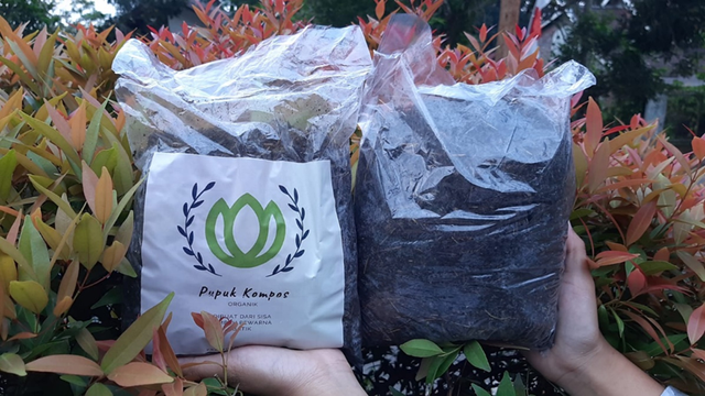 Pupuk Kompos dari limbah pewarna batik (Sumber: Dokumentasi Pribadi)