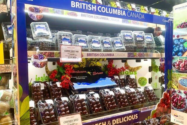 Promo peluncuran buah ceri dan bluberi dari Provinsi British Columbia, Kanada, kerja sama antara Kedutaan Besar Kanada dan PT Mulia Raya di Ranch Market Lippo Mall Puri pada Jumat (12/8). Foto: Jemima Shalimar/kumparan