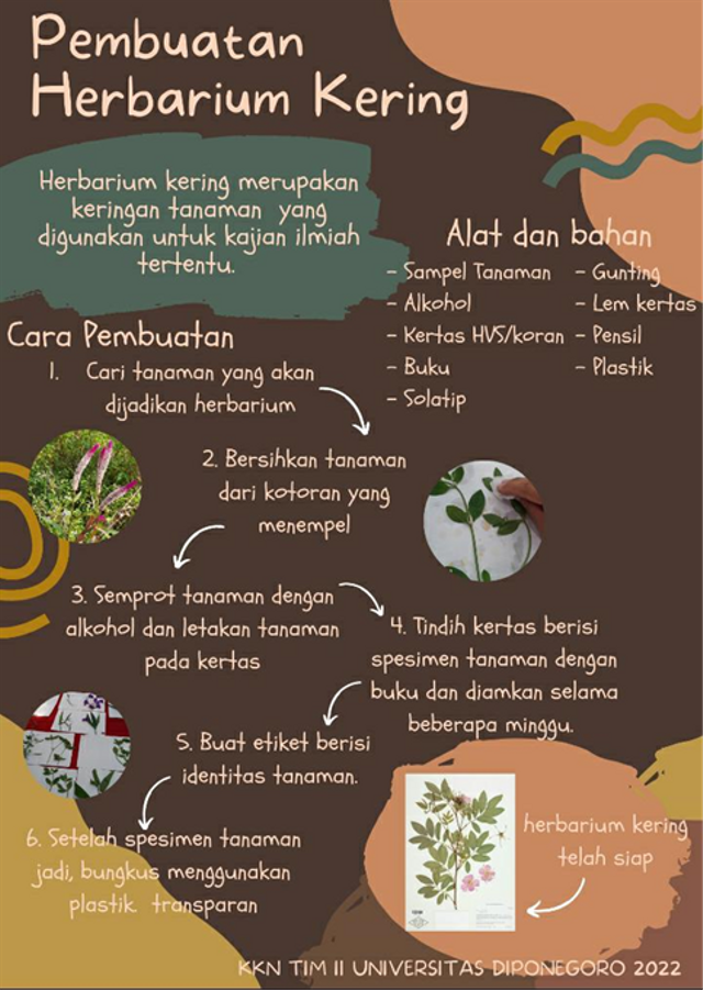 Poster Pembuatan Herbarium Kering  (Sumber: Dokumentasi Pribadi)