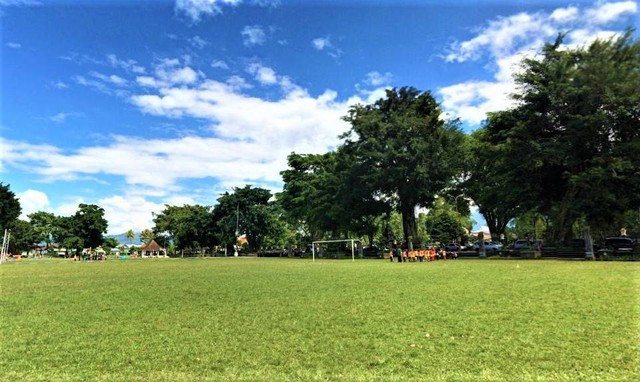 pilihan aktivitas di alun-alun wonosobo. sumber foto : google street view.