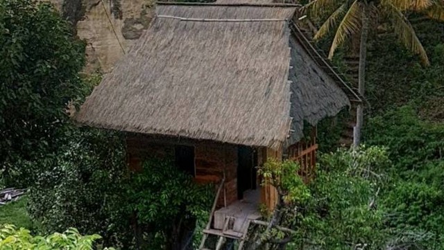 Rekomendasi penginapan rumah pohon di indonesia/nusa penida treehouse, Foto: google street view