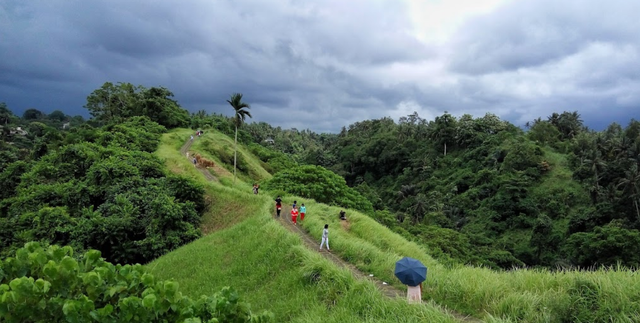 5 Rekomendasi Tempat Trekking di Ubud Bali, foto: google street view bukit campuhan