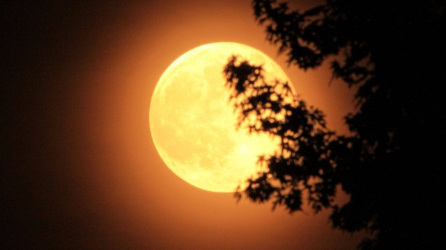 Bulan purnama. (Sumber: pixabay.com)