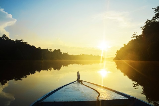 Pilihan Aktivitas di Wisata Hutan Mangrove Jakarta/Foto hanya ilustrasi dan bukan tempat aslinya. Sumber: Unsplash/Jeremy Bezanger