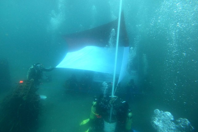 Prajurit TNI AL Lanal Banyuwangi bersama anggota Polairud, Basarnas, Pramuka dan nelayan melakukan pengibaran bendera Merah Putih di bawah laut Pantai Bangsring, Banyuwangi, Jawa Timur, Rabu (17/8/2022).  Foto: Budi Candra Setya/ANTARA FOTO