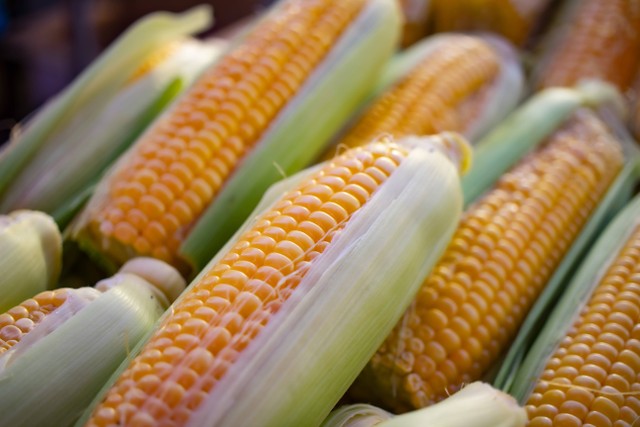 Jagung termasuk makanan untuk penderita diabetes. Foto: Unsplash