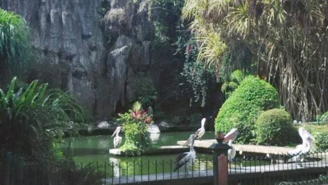 Pilihan aktivitas di ragunan zoo, Foto: google street view