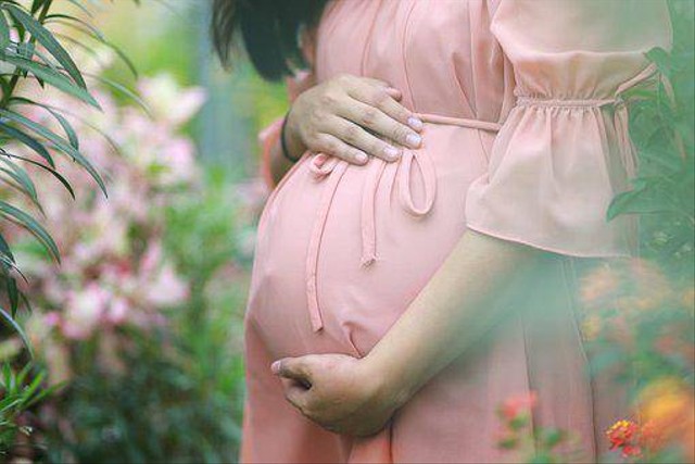 Ilustrasi ibu hamil. Foto: pixabay