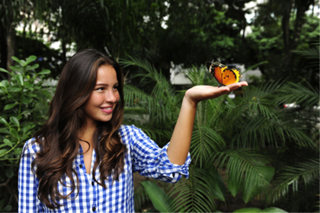 Ilustrasi wanita memegang kupu-kupu. Foto: Shutterstock. 