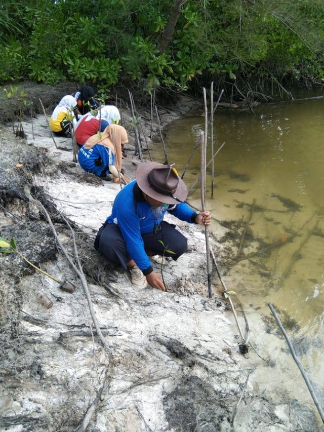 Pelaksanaan penanaman mangrove 