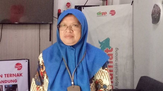 drh. Elise Wieke Pertiwi Kesumjana, kepala bagian produksi dan kesehatan hewan DKPP Kota Bandung. Foto: Luthfi Humam/kumparan