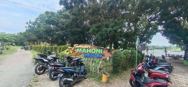 Taman Mahoni, Wisata Bernuansa Alam di Bantaran Sungai Bengawan Solo