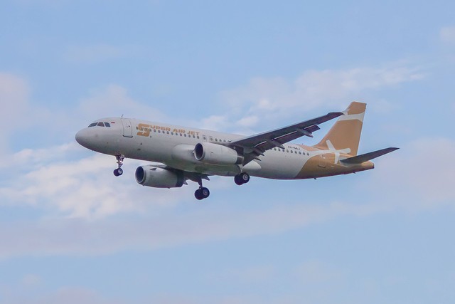 Bagaimana Cara Beli Bagasi Super Air Jet? Ini Jawabannya, Foto : Unplash/Fasyah Halim