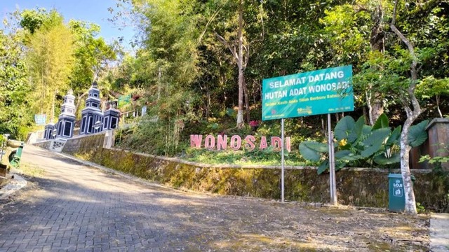 Hutan Adat Wonosadi, Gunungkidul. Foto: erfanto/Tugu Jogja