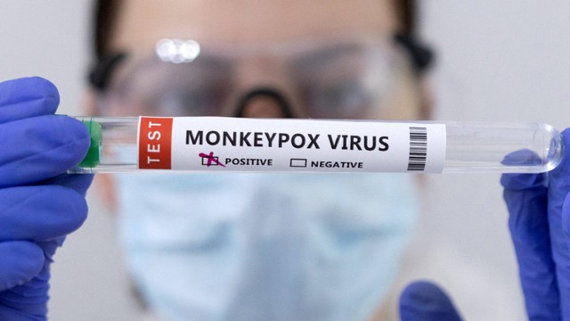 Ilustrasi virus Monkeypox atau cacar monyet. Foto: Dado Ruvic/REUTERS