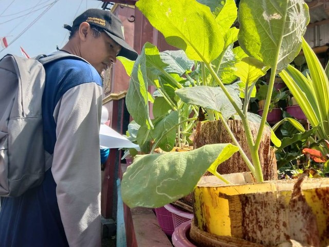 Juri dari Dispangtan Kota Malang melakukan penilaian budidaya tanaman dan pemanfaatannya. Foto: M Sholeh