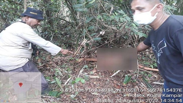 Korban tewas diterkam harimau ditemukan di areal hutan, Pelalawan (Foto: Isitmewa)