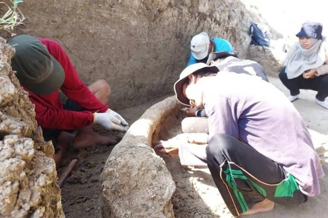 Proses ekskavasi gading gajah dengan panjang 2,5 meter ditemukan di kawasan Situs Patiayam di Desa Terban, Kecamatan Jekulo, Kabupaten Kudus, Jawa Tengah. Foto: ANTARA/HO-Disbudpar