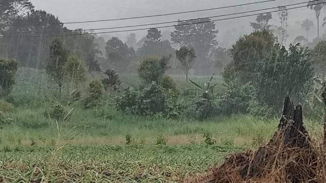 Lahan Pertanian di Kecamatan Modoinding Kabupaten Minahasa Selatan 