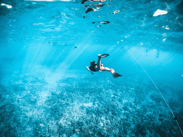 Pilihan Aktivitas di Pulau Macan untuk Liburan/Snorkeling. Sumber: Unsplash/Subtle Cinematics