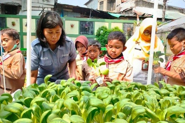 Urban Farming, Solusi Bertani Di Tengah Lahan Sempit Jakarta | Kumparan.com