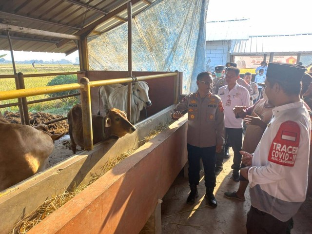 Desa Cangkingan, Kecamatan Kedokanbunder Kabupaten Indramayu tengah berbenah untuk menuju Kampung Tangguh Nusantara yang siap mewakili Jawa Barat untuk menjadi yang terbaik di Indonesia. (Tomi Indra)