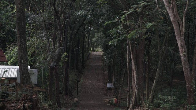 Foto koleksi pribadi