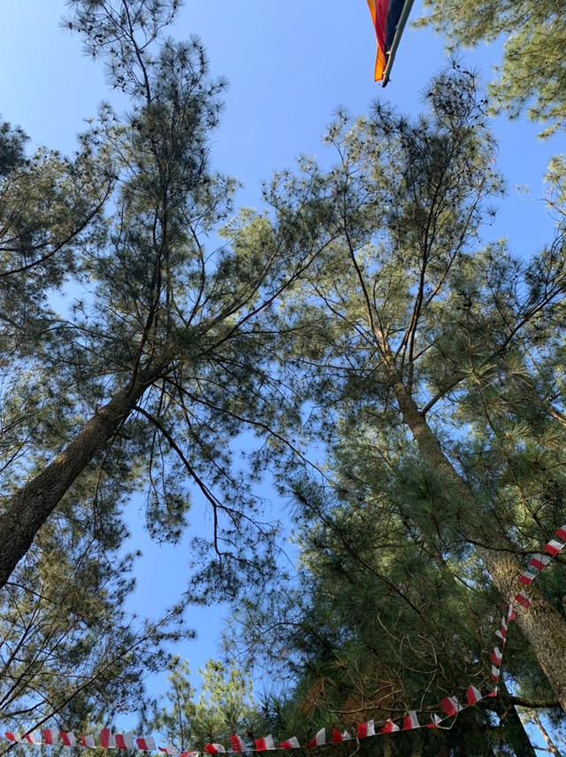 Bukit Cinta, Mungo Kecamatan Luak Provisin Sumatra Barat. Foto: Muhammad Fiqri Ichsan