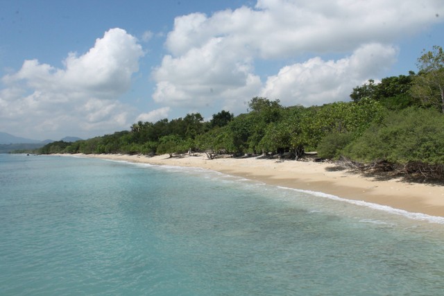 Salah satu pantai di Taman Nasional Bali Barat. Foto: Harley Sastha.