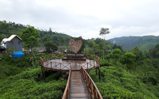6 Wisata Kebun Teh di Jawa Timur yang Indah, googl street view perkebunan teh sirah kencong