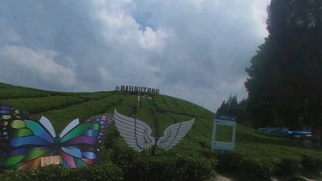 Wisata kebun teh di sumatera utara, foto: google street view	