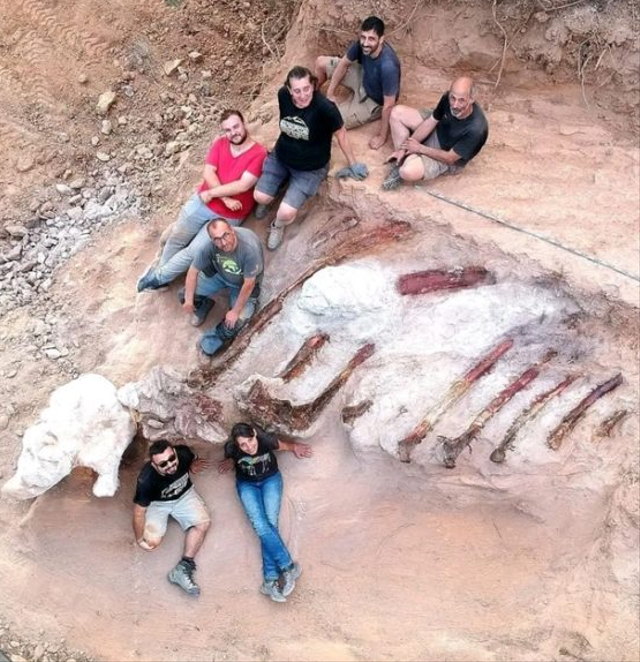 Fosil dinosaurus terbesar di Eropa ditemukan.  Foto: Faculty of Sciences of the University of Lisbon