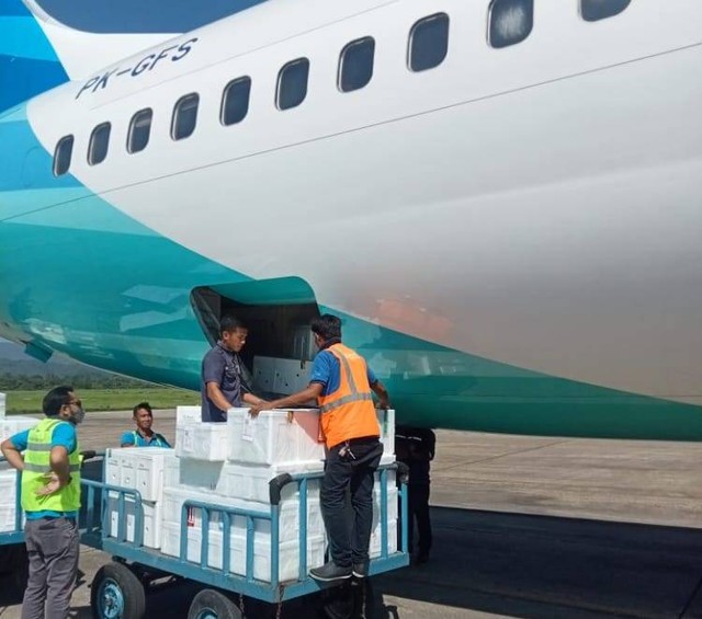 Petugas sedang mengangkut kepiting bakau ke dalam pesawat di Bandara Halu Oleo Kendari. Foto: Dok GAI.