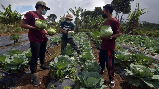Sebanyak 20 pemuda dari Desa Gobleg, Buleleng, Bali, membentuk komunitas Petani Muda Keren (PMK) serta menciptakan “smart farming” alias “bertani cerdas” yang menggabungkan pertanian dengan teknologi.