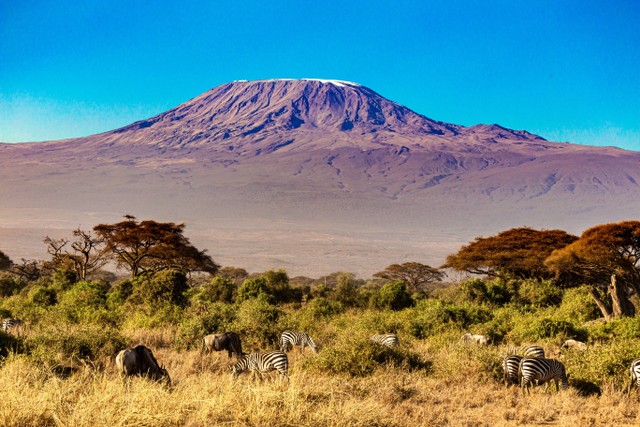 Ilustrasi Gunung tertinggi di Benua Afrika adalah gunung Kilimanjaro, sumber foto: (Stephan Becert) by unsplash.com