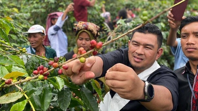 Festival Panen Kopi Gayo di Aceh Tengah. Foto: Disbudpar